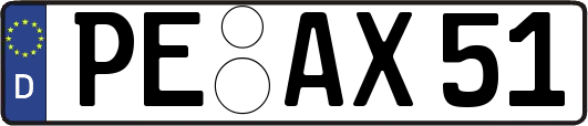 PE-AX51