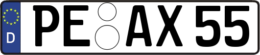 PE-AX55