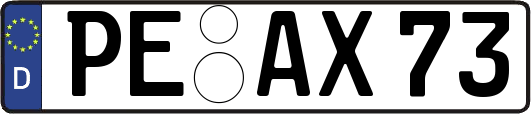 PE-AX73
