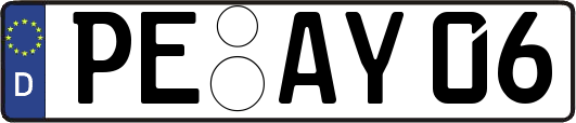 PE-AY06