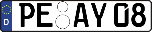 PE-AY08