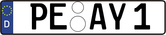PE-AY1