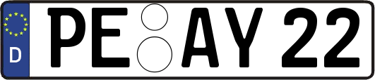 PE-AY22