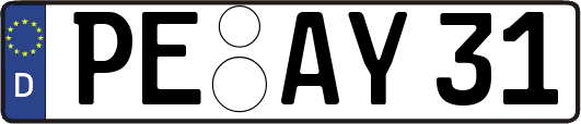 PE-AY31