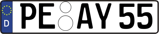 PE-AY55