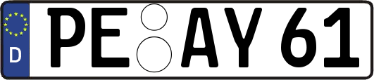 PE-AY61