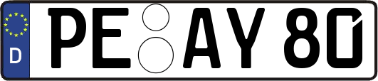 PE-AY80