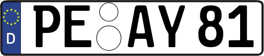PE-AY81