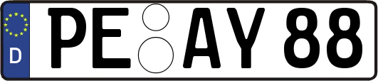 PE-AY88