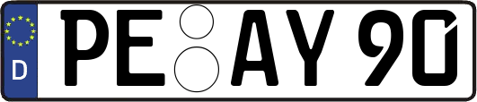 PE-AY90