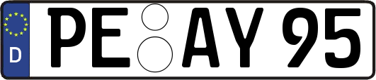 PE-AY95
