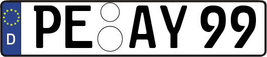PE-AY99