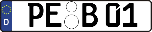 PE-B01