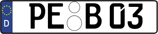 PE-B03