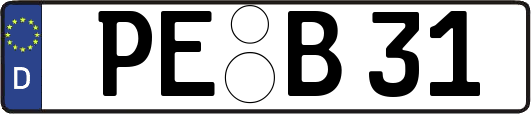 PE-B31