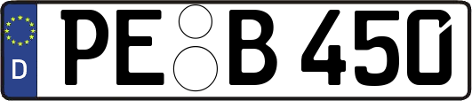 PE-B450