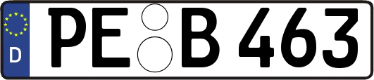 PE-B463
