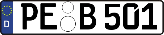 PE-B501