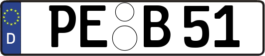 PE-B51