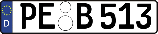 PE-B513