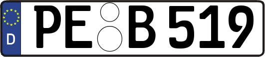 PE-B519