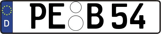 PE-B54