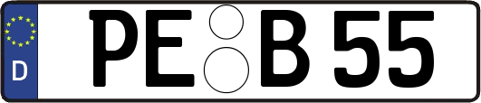 PE-B55