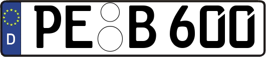 PE-B600