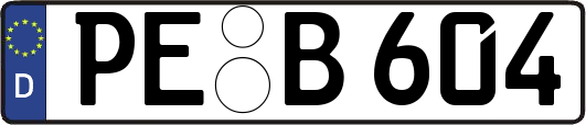 PE-B604
