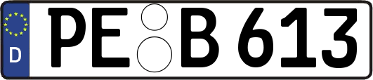 PE-B613