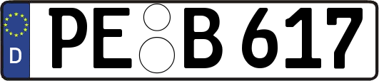 PE-B617
