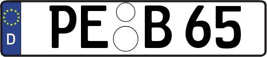 PE-B65
