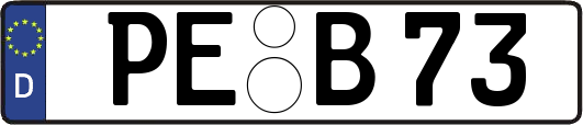 PE-B73