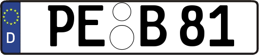 PE-B81