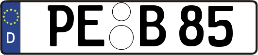 PE-B85