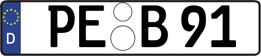 PE-B91