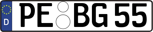 PE-BG55