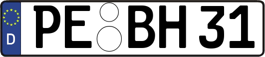 PE-BH31