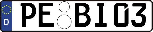 PE-BI03