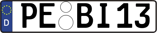 PE-BI13