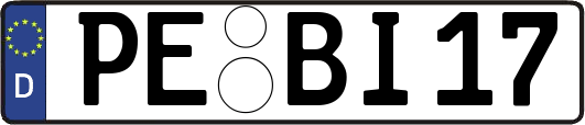 PE-BI17