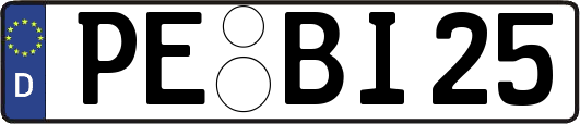 PE-BI25