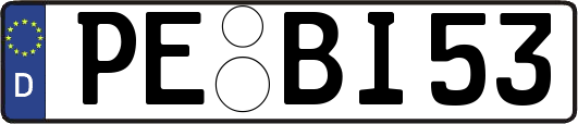 PE-BI53