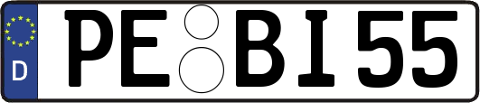 PE-BI55