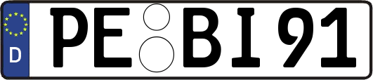 PE-BI91
