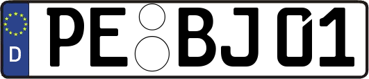 PE-BJ01