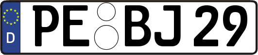 PE-BJ29
