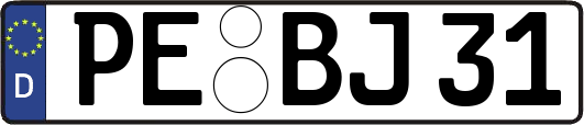 PE-BJ31