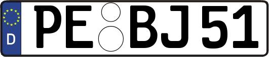 PE-BJ51
