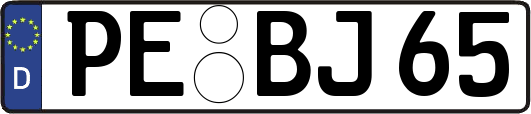 PE-BJ65